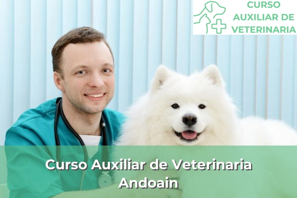 Curso Auxiliar de Veterinaria en Andoain