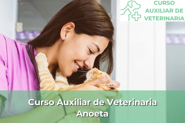 Curso Auxiliar de Veterinaria en Anoeta