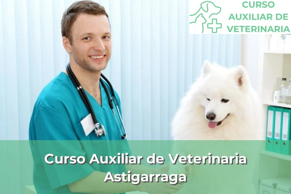 Curso Auxiliar de Veterinaria en Astigarraga