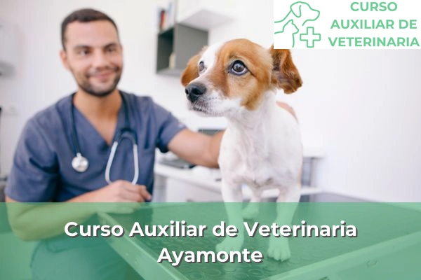 Curso Auxiliar de Veterinaria en Ayamonte