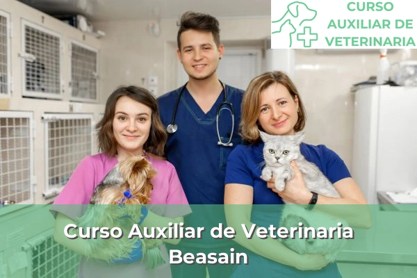 Curso Auxiliar de Veterinaria en Beasain