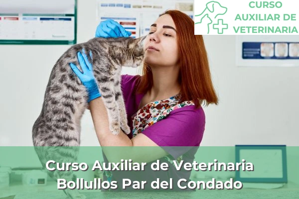 Curso Auxiliar de Veterinaria en Bollullos Par del Condado