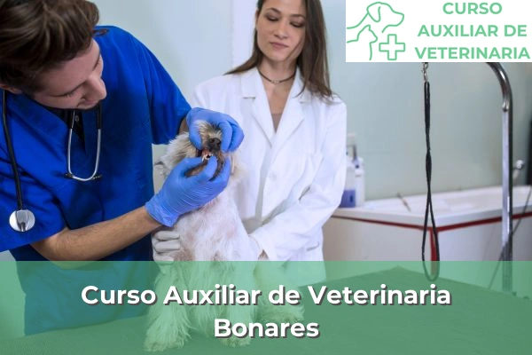Curso Auxiliar de Veterinaria en Bonares