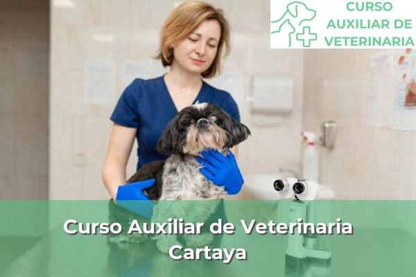 Curso Auxiliar de Veterinaria en Cartaya