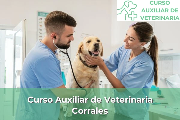 Curso Auxiliar de Veterinaria en Corrales
