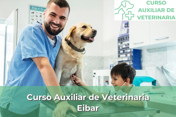 Curso Auxiliar de Veterinaria en Eibar