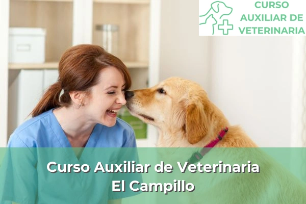 Curso Auxiliar de Veterinaria en El Campillo