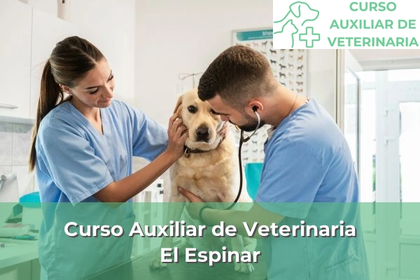 Curso Auxiliar de Veterinaria en El Espinar