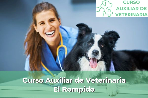 Curso Auxiliar de Veterinaria en El Rompido