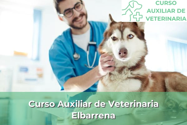 Curso Auxiliar de Veterinaria en Elbarrena