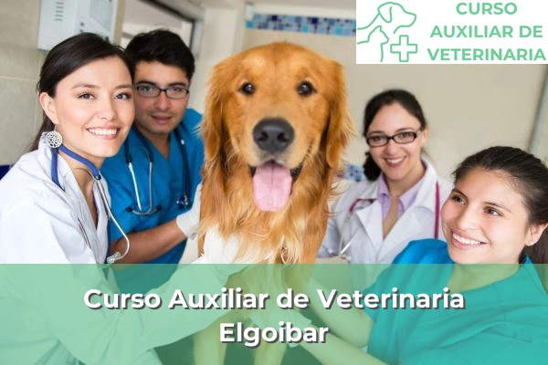 Curso Auxiliar de Veterinaria en Elgoibar