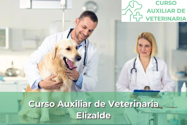 Curso Auxiliar de Veterinaria en Elizalde