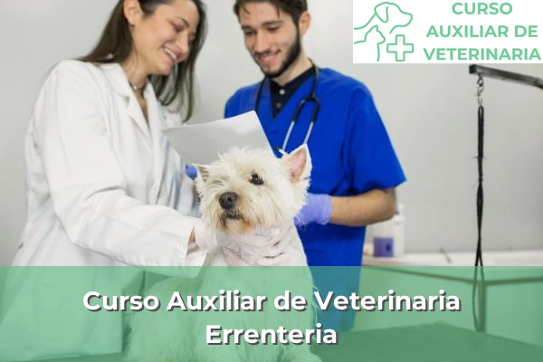 Curso Auxiliar de Veterinaria en Errenteria