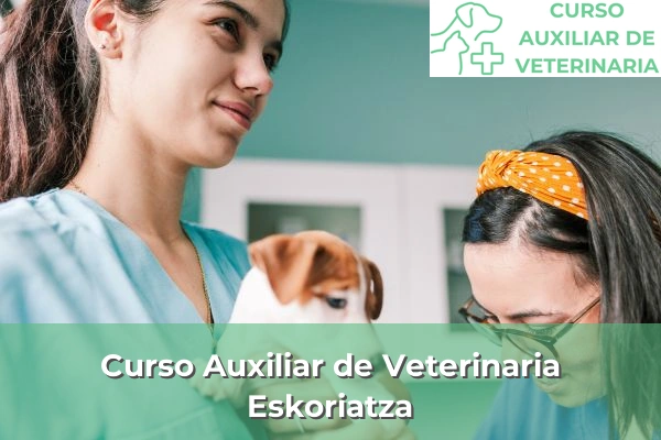 Curso Auxiliar de Veterinaria en Eskoriatza