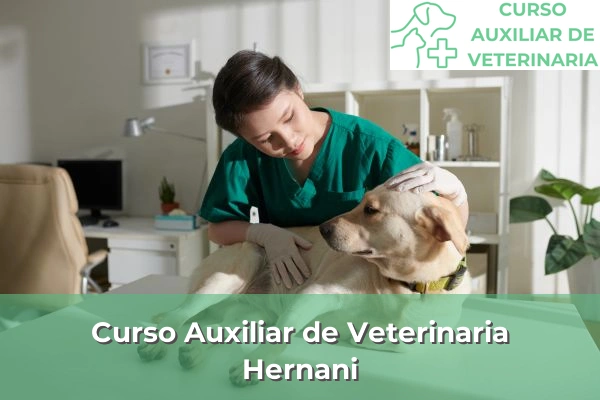 Curso Auxiliar de Veterinaria en Hernani