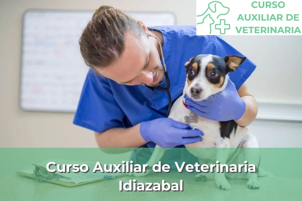 Curso Auxiliar de Veterinaria en Idiazabal
