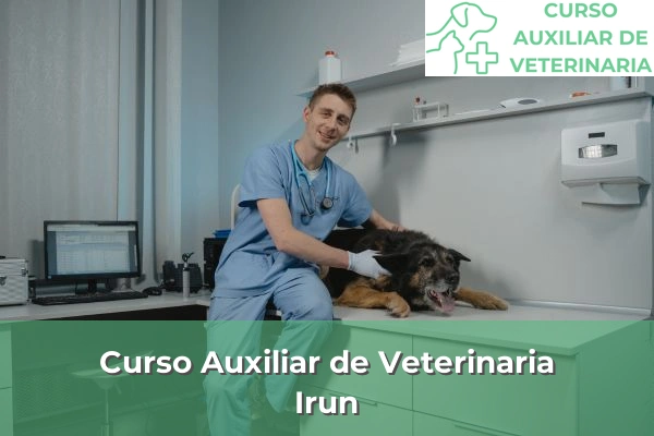 Curso Auxiliar de Veterinaria en Irun