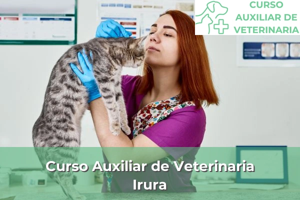 Curso Auxiliar de Veterinaria en Irura