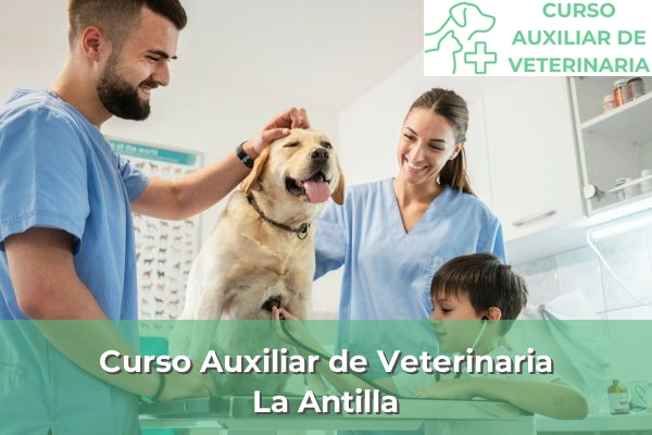Curso Auxiliar de Veterinaria en La Antilla