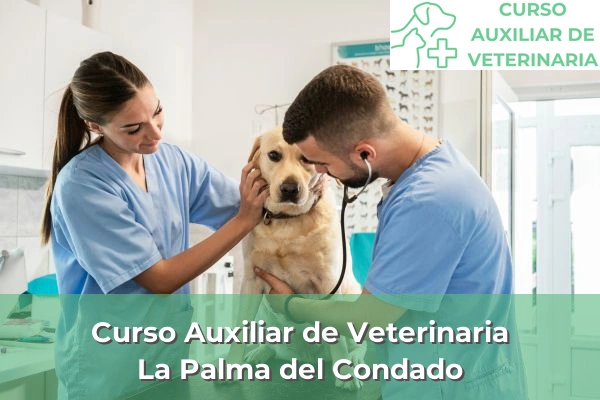 Curso Auxiliar de Veterinaria en La Palma del Condado