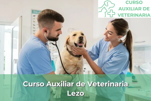 Curso Auxiliar de Veterinaria en Lezo