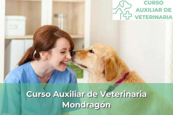 Curso Auxiliar de Veterinaria en Mondragón