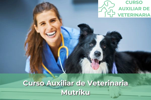 Curso Auxiliar de Veterinaria en Mutriku