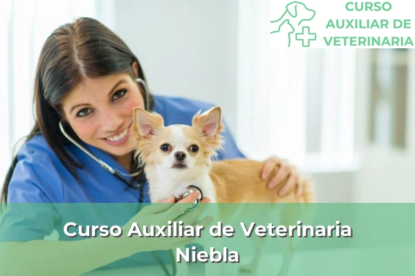 Curso Auxiliar de Veterinaria en Niebla