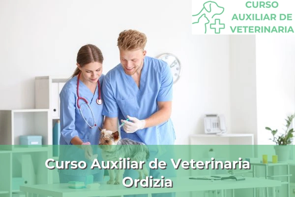 Curso Auxiliar de Veterinaria en Ordizia