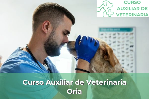 Curso Auxiliar de Veterinaria en Oria