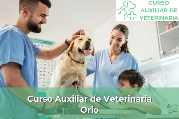 Curso Auxiliar de Veterinaria en Orio