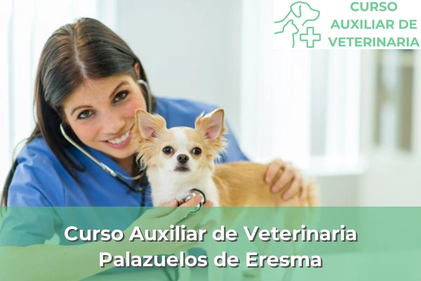 Curso Auxiliar de Veterinaria en Palazuelos de Eresma