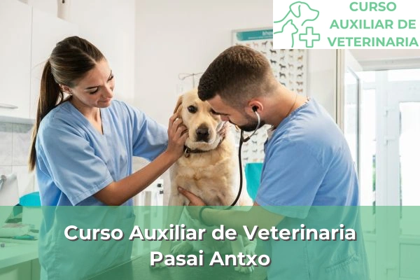 Curso Auxiliar de Veterinaria en Pasai Antxo