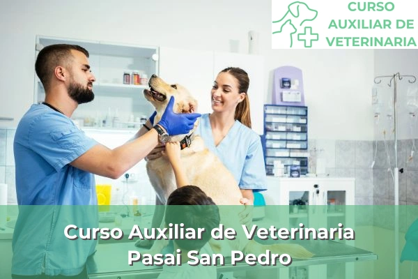 Curso Auxiliar de Veterinaria en Pasai San Pedro