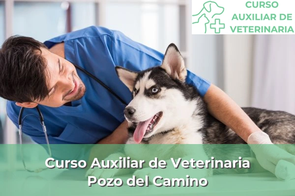 Curso Auxiliar de Veterinaria en Pozo del Camino