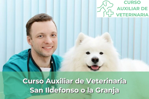 Curso Auxiliar de Veterinaria en San Ildefonso o la Granja