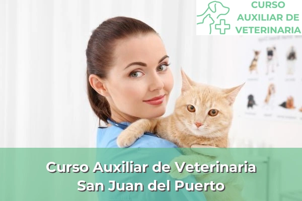 Curso Auxiliar de Veterinaria en San Juan del Puerto