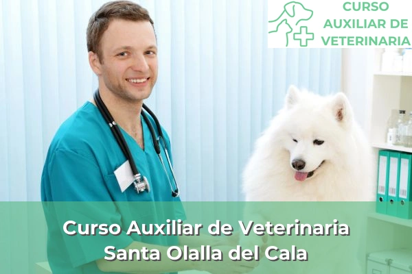 Curso Auxiliar de Veterinaria en Santa Olalla del Cala