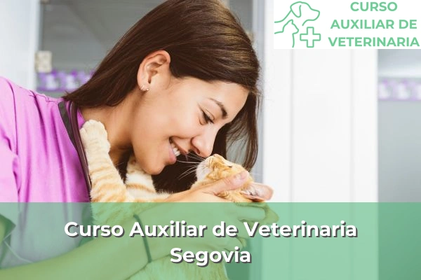 Curso Auxiliar de Veterinaria en Segovia