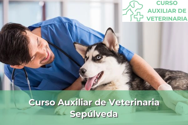 Curso Auxiliar de Veterinaria en Sepúlveda