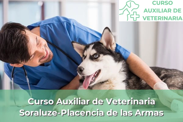 Curso Auxiliar de Veterinaria en Soraluze-Placencia de las Armas