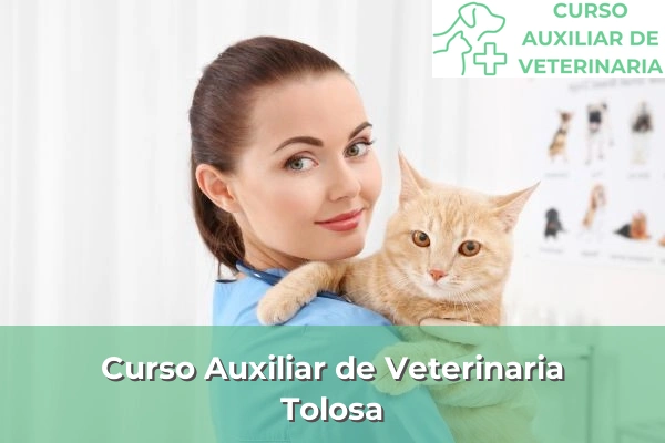 Curso Auxiliar de Veterinaria en Tolosa