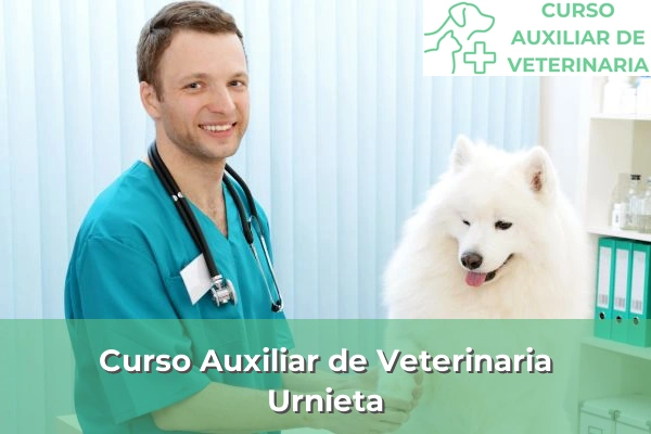 Curso Auxiliar de Veterinaria en Urnieta