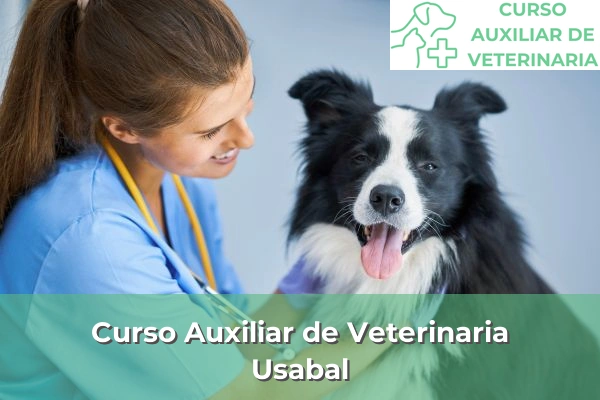 Curso Auxiliar de Veterinaria en Usabal