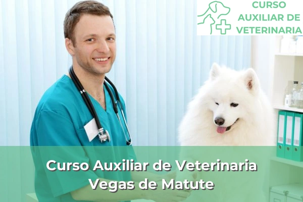 Curso Auxiliar de Veterinaria en Vegas de Matute