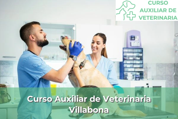 Curso Auxiliar de Veterinaria en Villabona