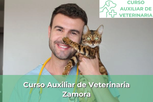 Curso Auxiliar de Veterinaria en Zamora