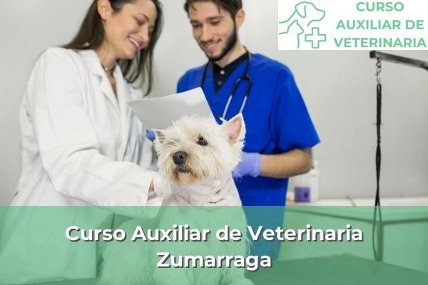 Curso Auxiliar de Veterinaria en Zumarraga